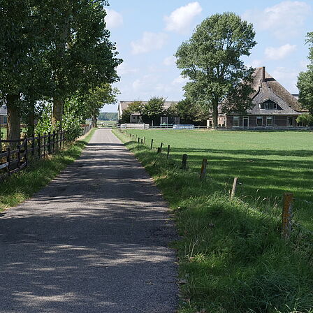 Foto: boerderij in de Zandzoom tussen Heiloo en Limmen