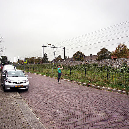 Afbeelding Schanskorfscherm gezien vanaf de weg